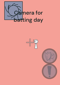 Custom camera for batting day