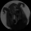 hiagoANIMA avatar
