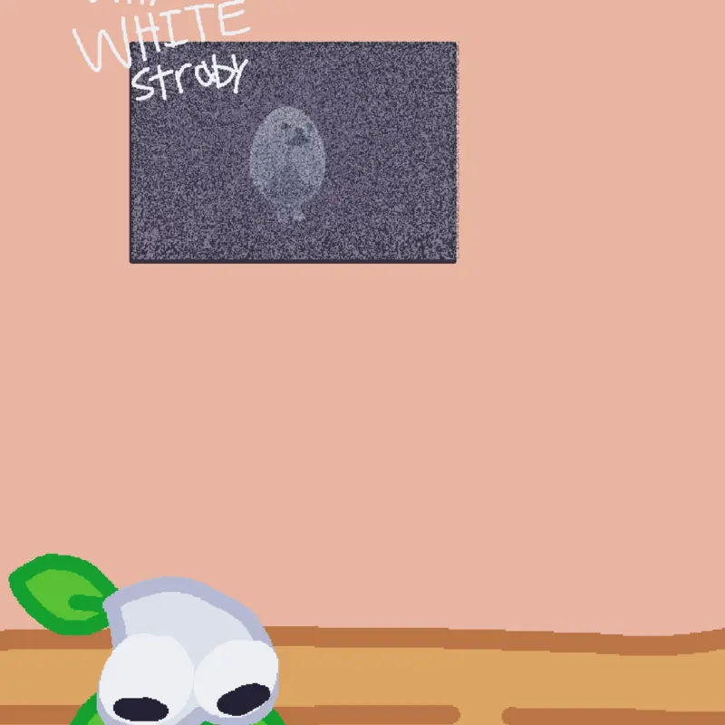 Qna with white strabby by @WSRP