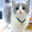 cutedautayvn789 avatar