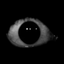 ws_creator_6666 avatar