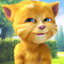 AvocadoMaster309 avatar