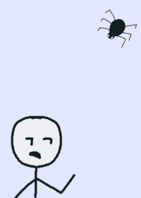 Spider dave