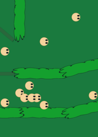 Werewolf night