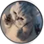 Ege_Studios avatar