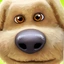 benbuilds avatar