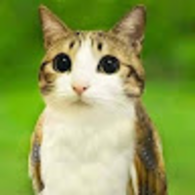 @catloveu
