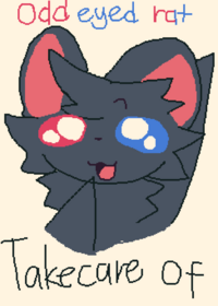 Take care of odd-eyed rat!