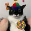 LittleCat4554 avatar