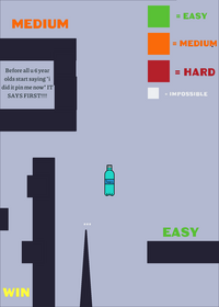 Water bottle flip