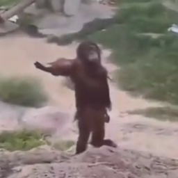 @monkegamez