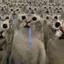I-LUV_CATZ avatar