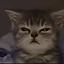 maremic avatar