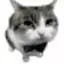 wcamn avatar