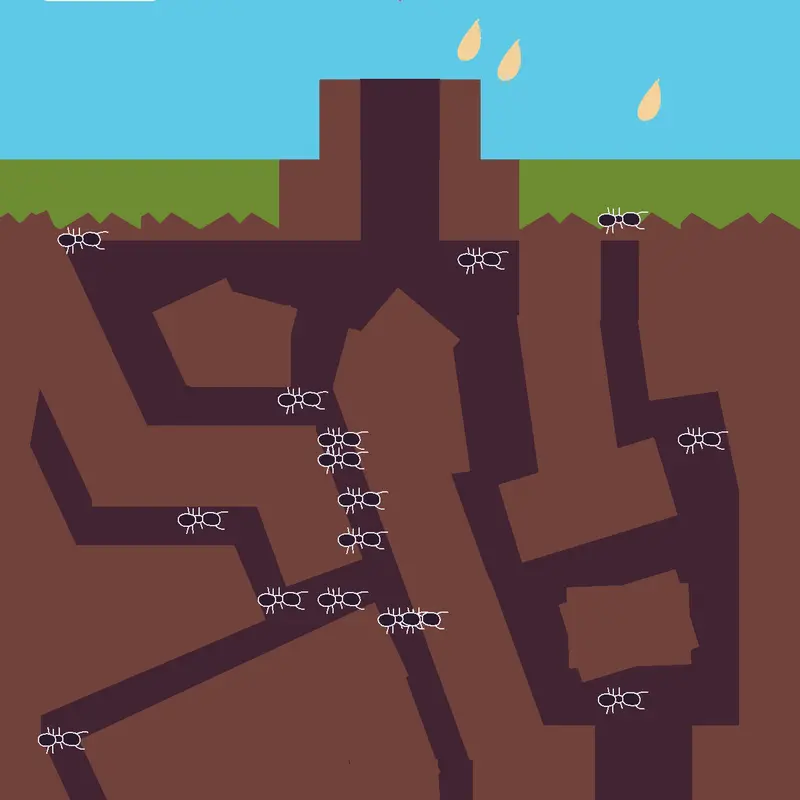 Game by @zander22