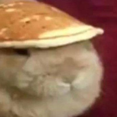 @pancake_bunny