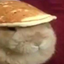 pancake_bunny avatar