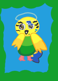 Parrot