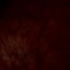 I_forgot_the_color_green avatar