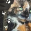 lady_Therian avatar