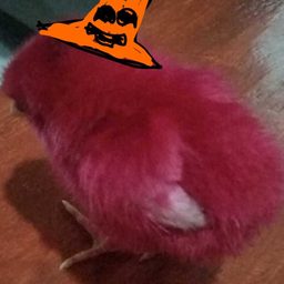 @yeshaHalloween