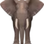thelephantintheroom avatar