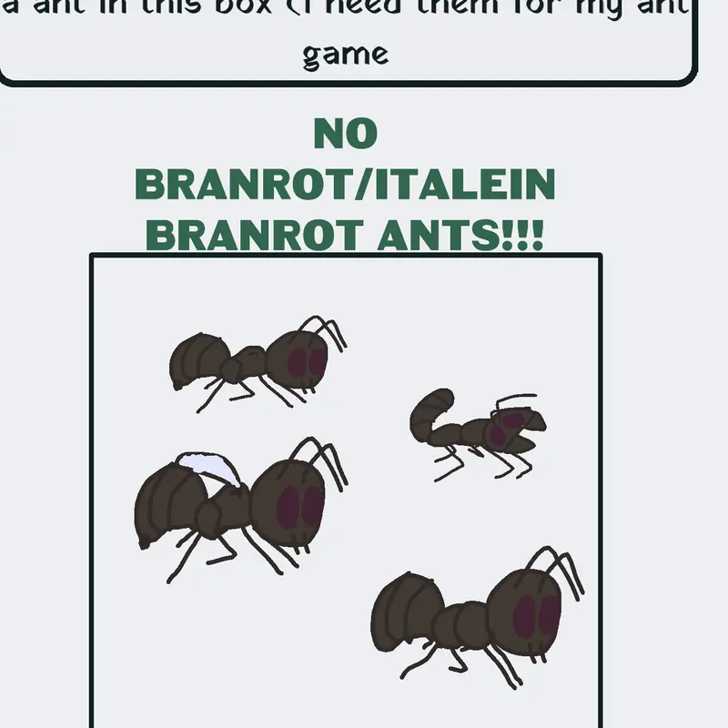 Ant spreites by @hiilllol