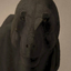 PrehistoricProductionsOG avatar