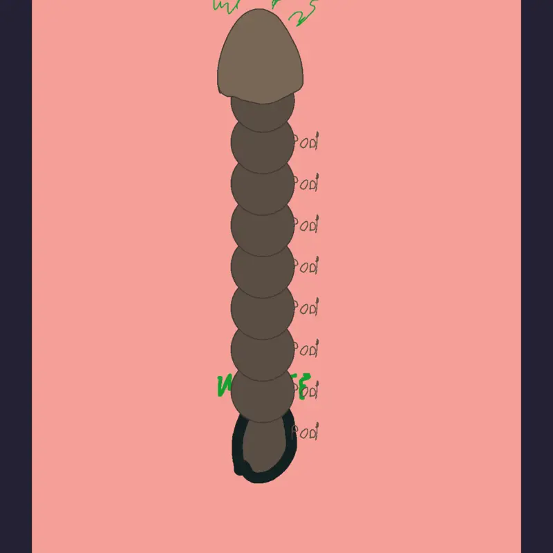 Game by @amooory