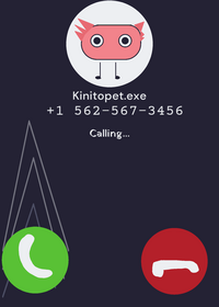 Call kinitopet at 3 am