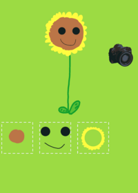 make sunflower