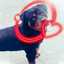 natati_lol55 avatar