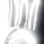 paopaoroom555 avatar