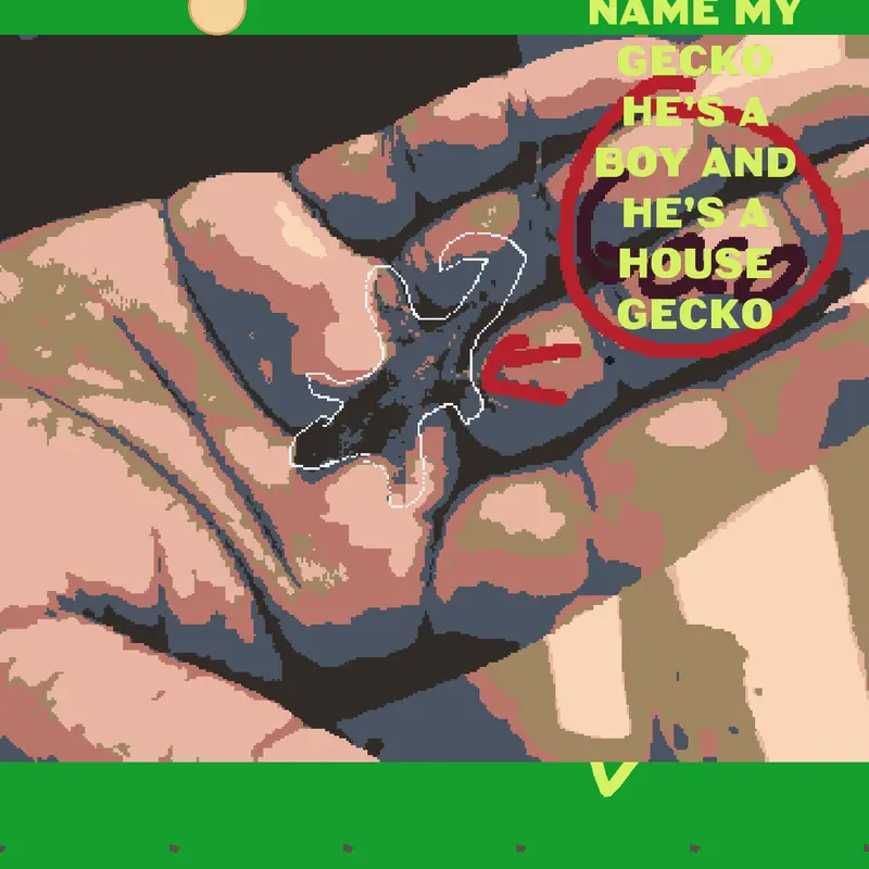 Game by @pattyschannelonyt