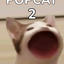 PopCat1234 avatar