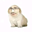 kelbasketball avatar
