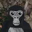 gtagfan1 avatar