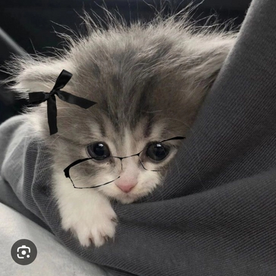 @VeryNormal_Person