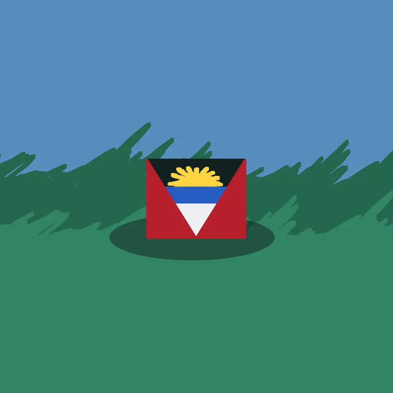 Flag band Mini! by @coolaids