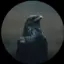 iyarex avatar