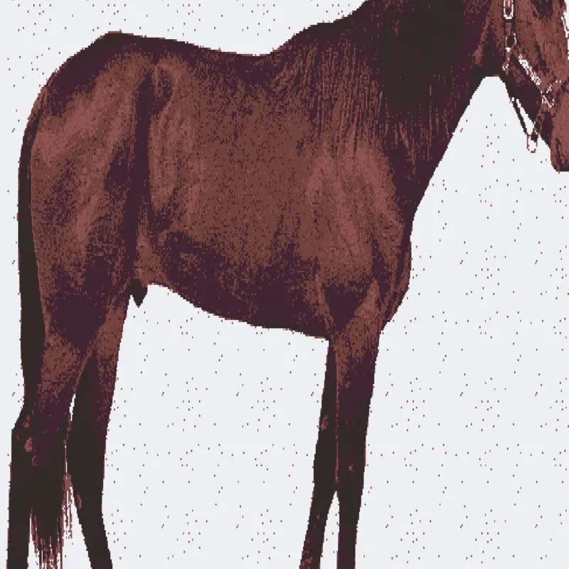 Horsey... by @WhiteRook_Alt