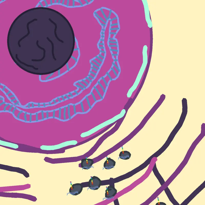 Biology Cells by @TheShmemes