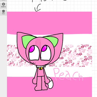 @peach_cat
