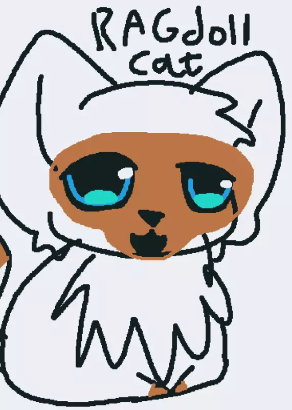 Game by @the_REAL_GamerCat100