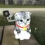 kirstennakiracuma avatar