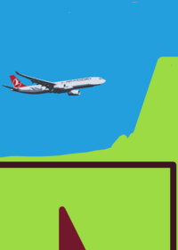 fly a plane