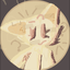 --_cat-sunnny_-- avatar