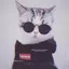 Cates_ avatar