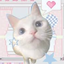 eviekitty avatar