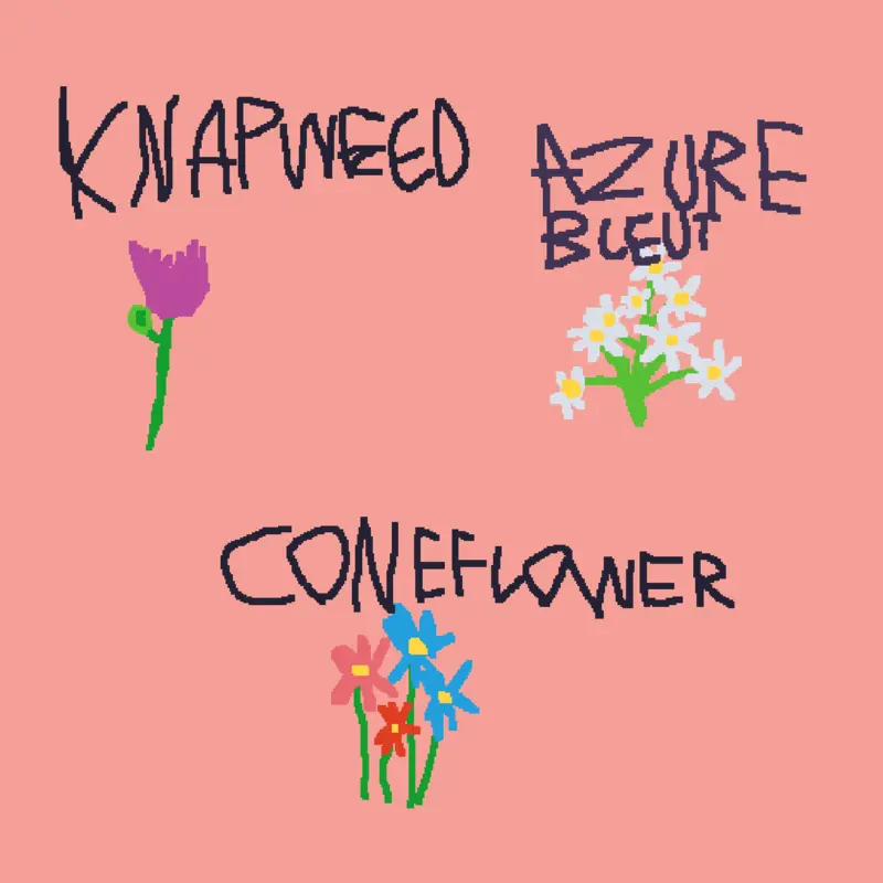 Top Three Most Favorite Flowers by @addm